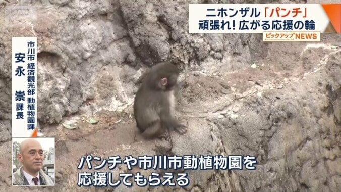 応援の受け皿作り