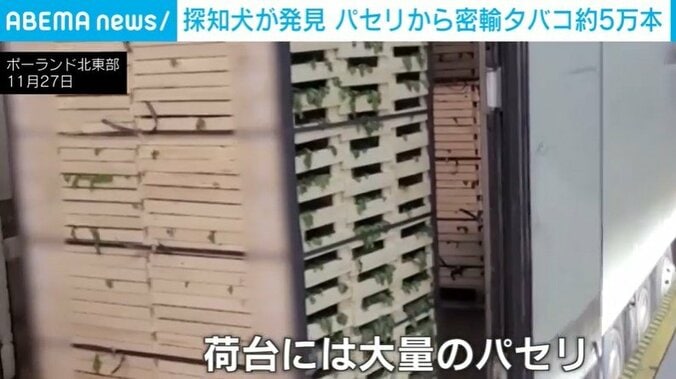 荷台に積まれた大量のパセリ