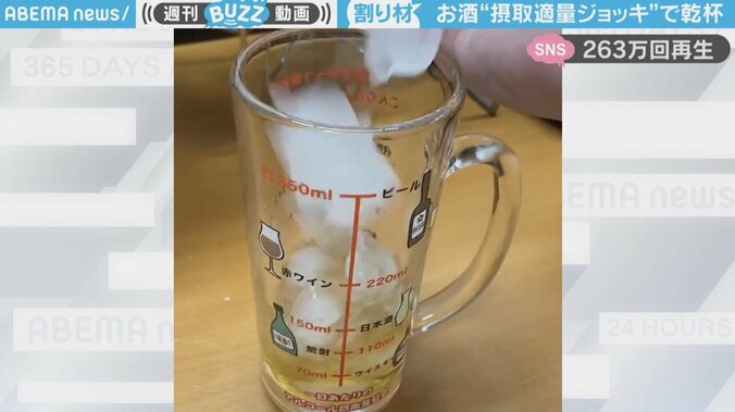 規定量のアルコールをジョッキに入れるも…本末転倒な結末で「違う、そうじゃない」「最後何した？」ツッコミ殺到 1枚目