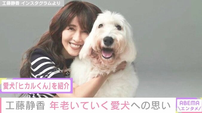 工藤静香、年老いていく愛犬への思いを告白「子供みたいに無邪気な愛しい目をするヒカルが切ない」「どうしても腕の中で見送りたいなぁ」 1枚目