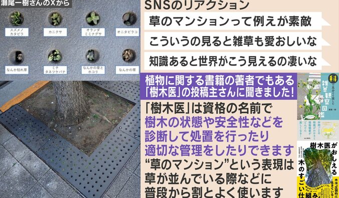 草のマンション