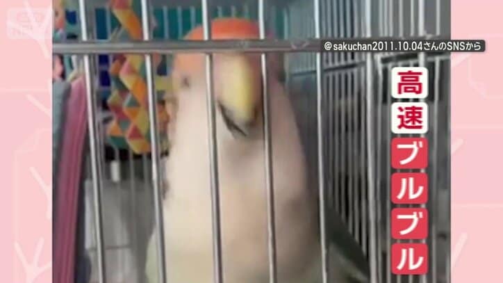 突然、頭を高速ブルブル！