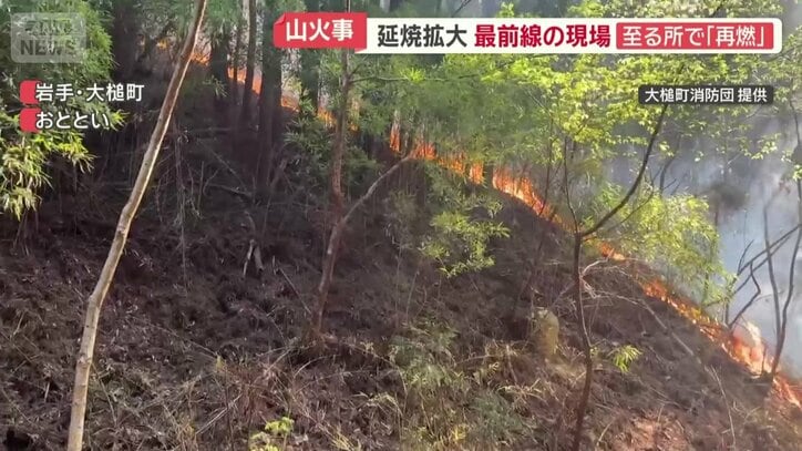 パチパチと音を立て燃える山林