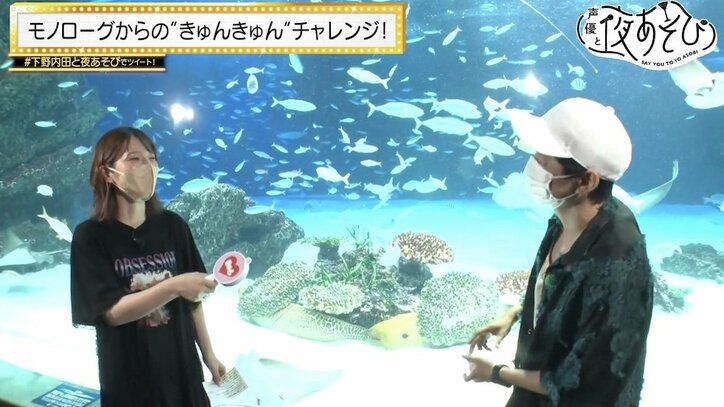下野紘＆内田真礼が夜の水族館へ “連れカノ”コラボ企画できゅんきゅんチャレンジに挑戦『声優と夜あそび』