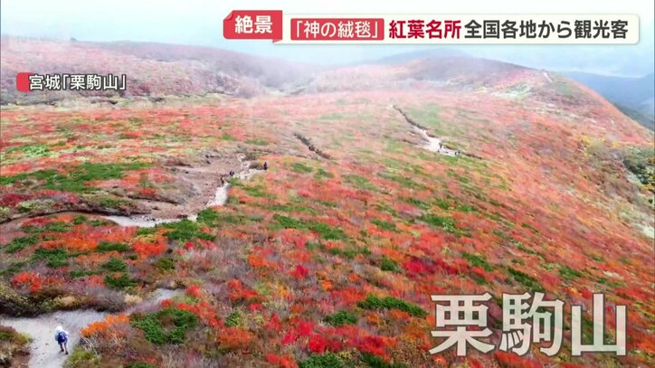 紅葉の名所・宮城県の栗駒山