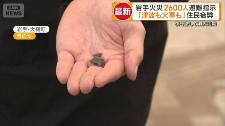 枯れ葉のようなものが降ってきた