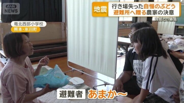 ぶどうを避難所へ