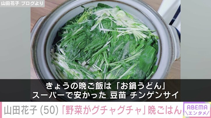 山田花子 ブログより