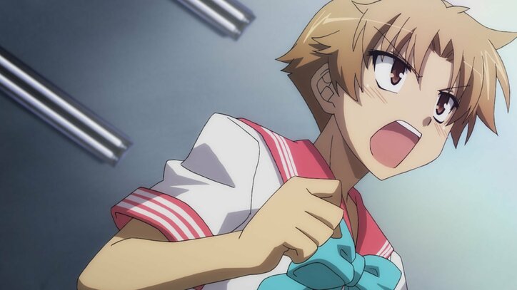 日常に笑いを!学園コメディ『らきすた』『バカとテストと召喚獣 1期&2期』順次配信スタート&全話一挙配信も