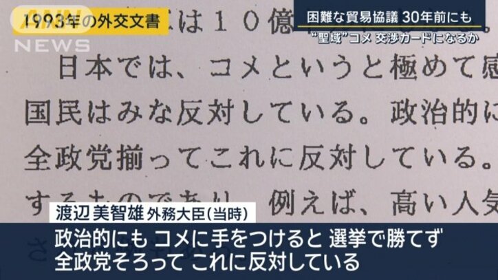 渡辺美智雄外務大臣(1993年の外交文書)