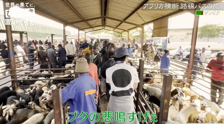 東出昌大、食肉市場のリアルにショック「あんなに狭いところで豚がビービー言ってる…くらっちゃいました」