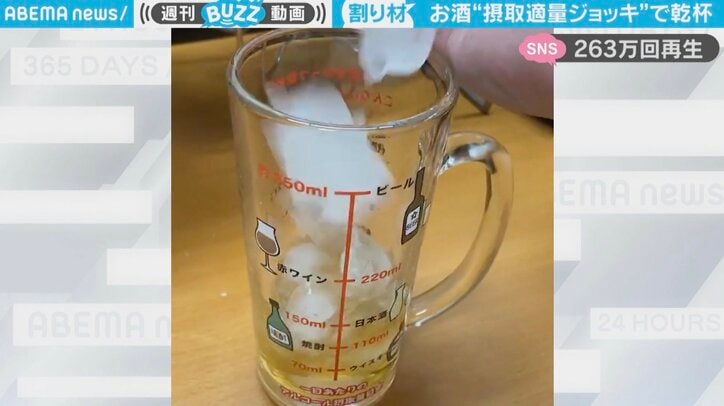 規定量のアルコールをジョッキに入れるも…本末転倒な結末で「違う、そうじゃない」「最後何した？」ツッコミ殺到