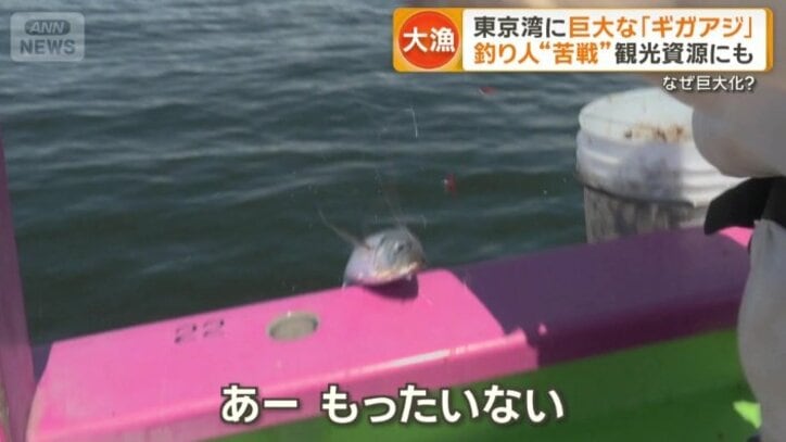あと一歩のところで逃げられる