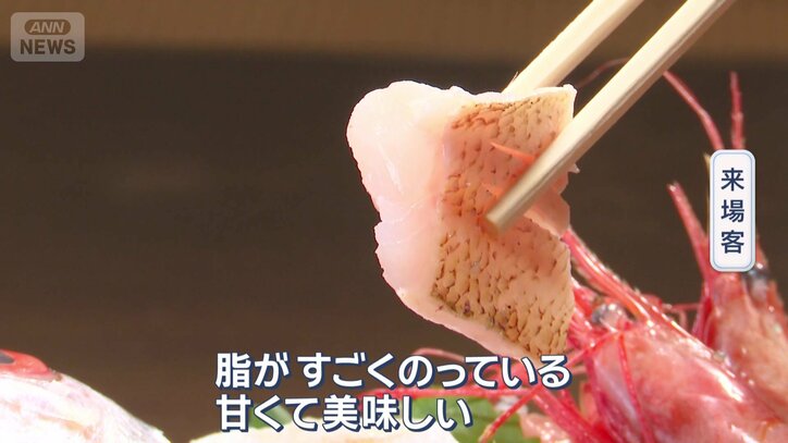 旬を迎えたノドグロも