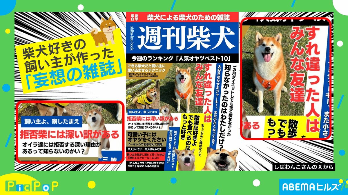 定期購読を希望！柴犬好きの“妄想雑誌” クオリティの高さに「一瞬