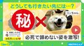 どうしてもお風呂に入りたい?柚子を求めて何度も挑戦する柴犬の姿に「絶妙に届かない感じがかわいい」「こっちを見るのが良い」と反響