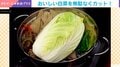 「いつもボロボロにしてた…」白菜を無駄なくカットする“裏ワザ”投稿に大反響