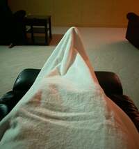 市川團十郎白猿『小休止』