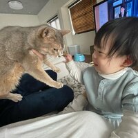 桃『我が家の平和すぎ日曜の午前中』