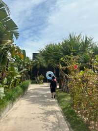 アレクサンダー『プール　プール』