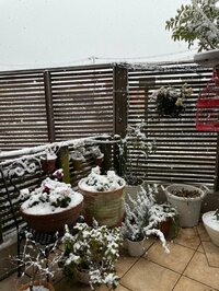 研ナオコ『ファンレター』