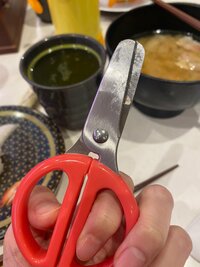 川島菜月『は、は、はま寿司』