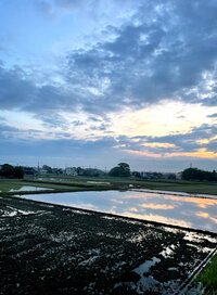 北斗晶『母の日』