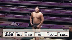 「男版ローラ」と話題の長身イケメン力士