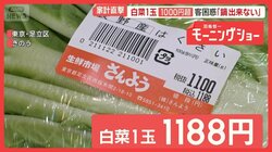 ハクサイ1玉1000円超え　長雨・日照不足で葉物野菜が高騰　「鍋できない」客も困惑