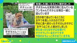 おやつ欲しさに言い争う犬 鬼の形相で掴みかかる“チワ喧嘩”にツッコミの嵐 飼い主「ちょっと手が出てますね」
