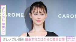 ダレノガレ明美（34）、車両本体価格約210万円の愛車でドライブ「1人で走ってきました」