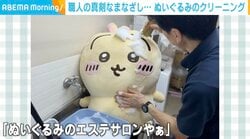 「ぬいぐるみのエステサロンやぁ」クリーニング投稿がSNSで話題！職人の真剣なまなざしと対照的な表情の“シュール”さにも注目