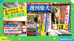 定期購読を希望！柴犬好きの“妄想雑誌” クオリティの高さに「一瞬ホントにあるのかと思ってしまった」「読みたい記事ばっかり」と反響