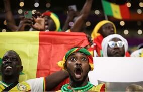 「試合見えてるのかな」「ずっとつけてたわけじゃないよね？」セネガルのスタンドに現れた“ライオン”に日本のファンも大注目「めっちゃリアル」