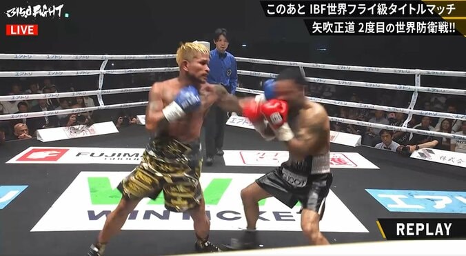 【画像】冴えに冴えた！試合を決めたカシメロの左フック
