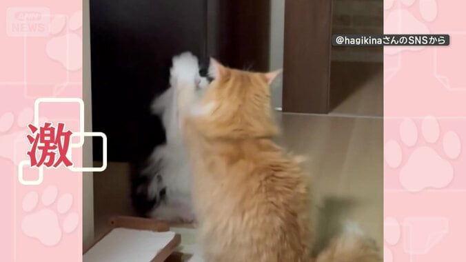 激しいタッチはまるでお遊戯！