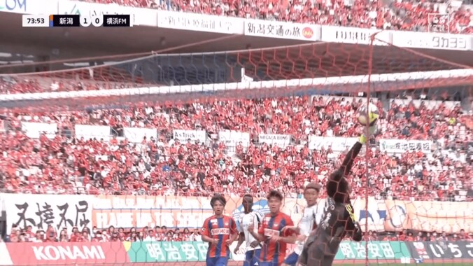 衝撃ゴラッソ！「どんなGKでも止められない」新潟MFの“黄金の左足”にSNS騒然「月間ベストゴールおめでとうダニーロ（確信）」「うますぎて爽」 4枚目