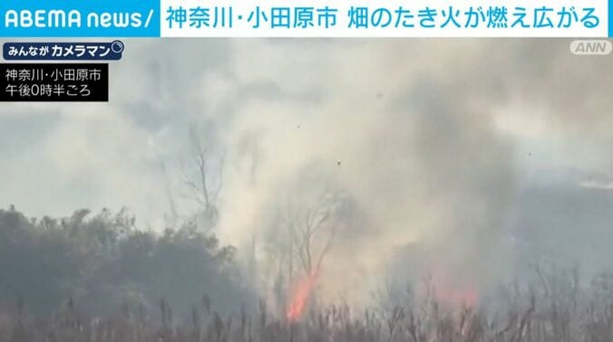 燃え広がる畑のたき火