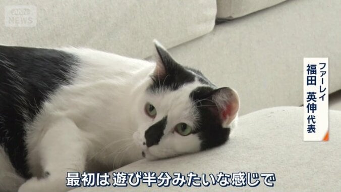 遊び半分で始まったというペットの同伴勤務