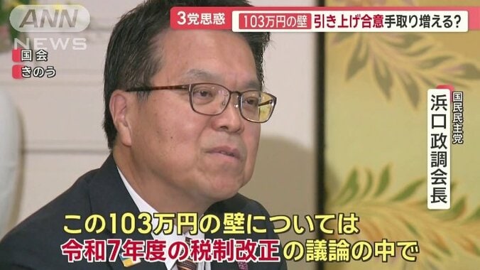 国民民主党 浜口政調会長