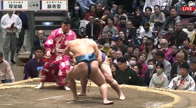 初場所を観戦するデヴィ夫人