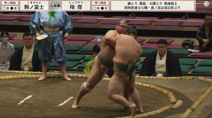 若手力士をパワーで圧倒