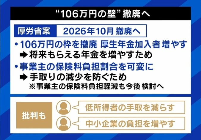 106万円の壁、撤廃とは
