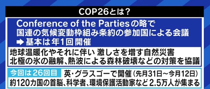 「地球からの搾取をやめろ!」グレタさんのメッセージに感じてしまう違和感の正体…制限の“無理強い”ではなく選択肢の“提示”を 2枚目