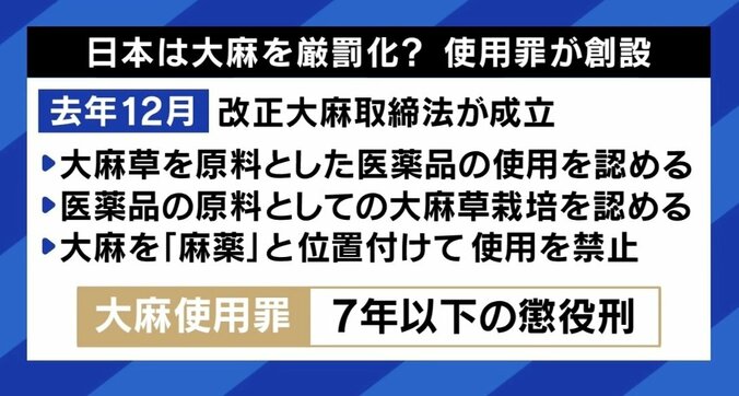 【写真・画像】大麻に手を出し逮捕される若い世代が急増…SNSで隠語による取引も 16歳から大麻常用の当事者に聞く　7枚目