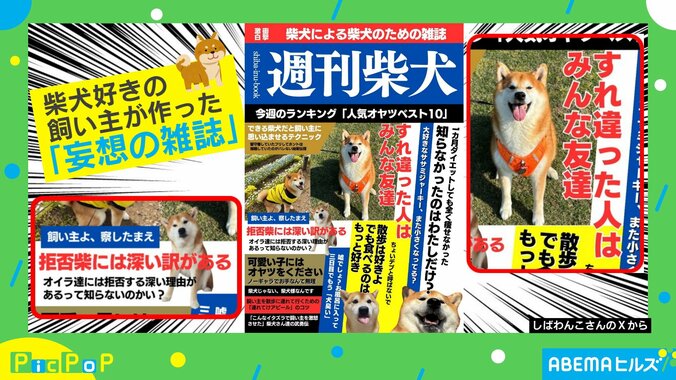 柴犬のための“妄想雑誌”