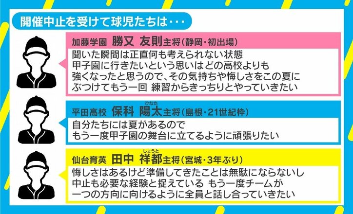 “春のセンバツ”が史上初の中止…2012年に取材の石戸諭氏「条件をクリアしても社会的に納得させるのが難しかった」