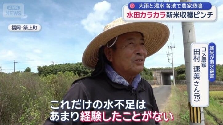 コメ農家　田村速美さん
