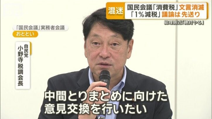 自民党　小野寺税調会長
