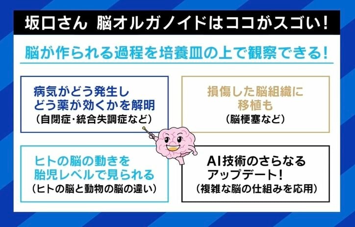 【写真・画像】 5枚目